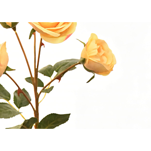 Rose 57cm - Jaune