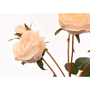 Rose 57cm - Blanche