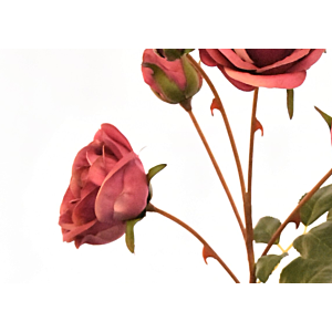 Rose 57cm - Rose Foncé