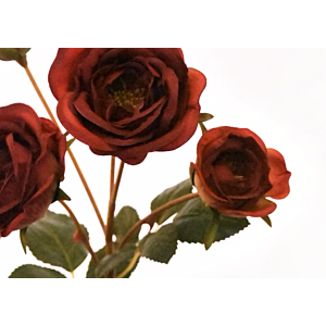 Rose 57cm - Rouge