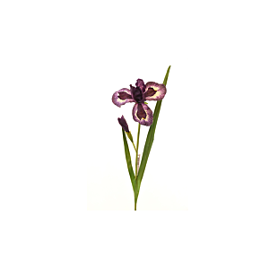Fleur IRIS 95cm - Violet Foncé Vente Flash