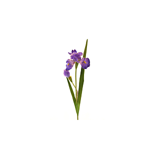 Fleur IRIS 95cm - Violet Vente Flash