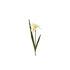 Fleur IRIS 95cm - Blanc Plantes et fleurs artificielles
