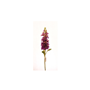 Fleur Delphinium 80cm - Violet Foncé Vente Flash