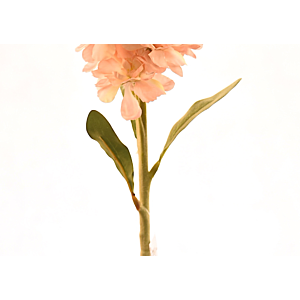 Fleur Delphinium 80cm - Pêche