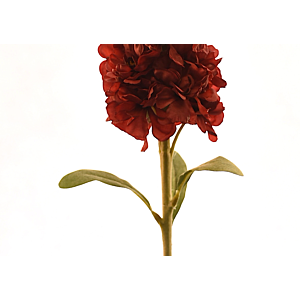 Fleur Delphinium 80cm - Rouge