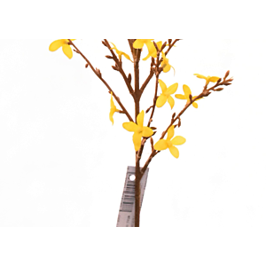 Fleur JASMIN 73cm - Jaune
