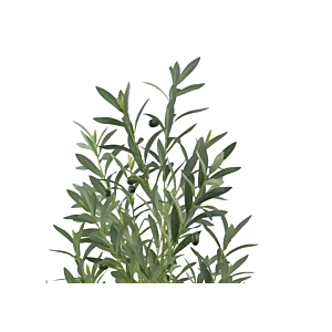 Plante Artificielle BF2214079 140cm - Vert