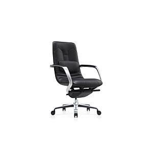 Fauteuil Sénateur DOLPHIN - Noir