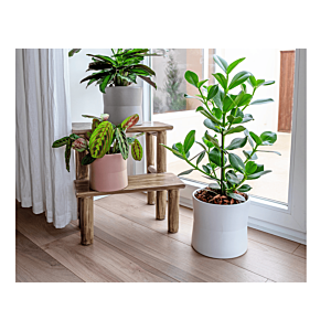 Pot Diana 14cm - Rose clair