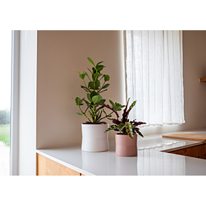 Pot Diana 14cm - Blanc