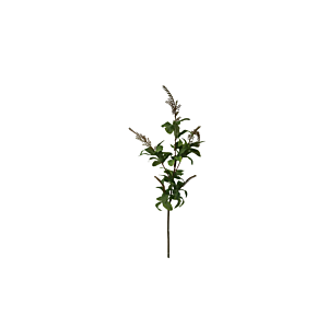 BRANCHE DE PIERIS JAPONICA ARTIFICIELLE - Vert Plantes et fleurs artificielles