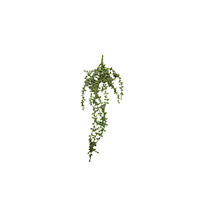 PLANTE SUSPENDUE DE SENECIO ROWLEYANUS ARTIFICIELLE - Blanc Plantes et fleurs artificielles
