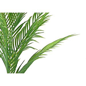 PALMIER ARTIFICIELLE 80cm - Vert