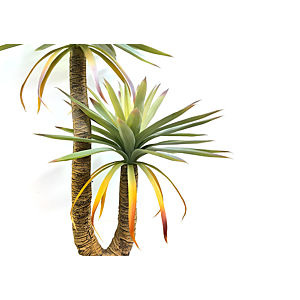 PLANTES D’ARBRES YUCCA GLADIOLUS ARTIFICIELLE PALMIER - Vert