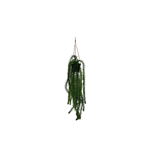 PLANTES SUSPENDUES À HERBE TOMBANTE ARTIFICIELLES 12x12x46cm - Blanc Plantes et fleurs artificielles