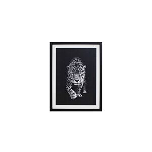 TABLEAU LE TIGRE AVEC CADRE - BLANC / NOIR Tableaux