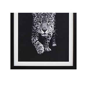 TABLEAU LE TIGRE AVEC CADRE - BLANC / NOIR