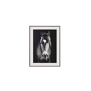 TABLEAU LE CHEVAL AVEC CADRE – BLANC / NOIR Tableaux