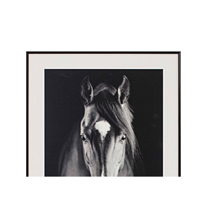 TABLEAU LE CHEVAL AVEC CADRE – BLANC / NOIR
