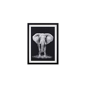 TABLEAU L'ELEPHANT AVEC CADRE - BLANC / NOIR Tableaux