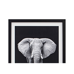 TABLEAU L'ELEPHANT AVEC CADRE - BLANC / NOIR