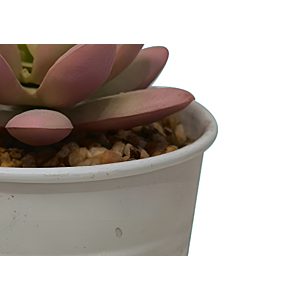 Plante ARTIFICIELLE AVEC POT EN FER 8x8x12,5cm - Blanc