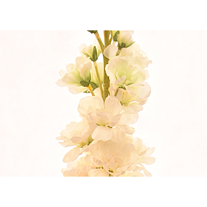 Fleur Delphinium 80cm - Blanc