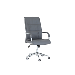 Fauteuil Président COACH - Gris