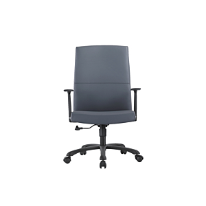 Fauteuil Sénateur SMOOTH
