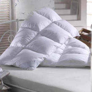 Couette COUVRE WELL en Duvet