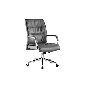 Fauteuil sénateur COACH - Gris