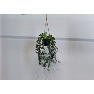 PLANTE SUSPENDUE À HERBE TOMBANTE ARTIFICIELLES 12x12x46cm - Vert