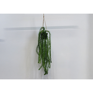 PLANTES SUSPENDUES À HERBE TOMBANTE ARTIFICIELLES 12x12x46cm - Blanc