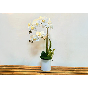 ORCHIDÉE ARTIFICIELLE EN POT 23x23x54cm - Blanc