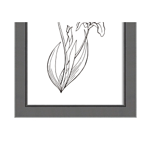 CADRE PHOTO RETRO 13x18cm - GRIS