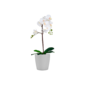 Cache-pot THALIA ORCHIDÉE 14cm - Gris Clair