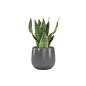 Cache-pot VITORIA 14cm - Gris Foncé