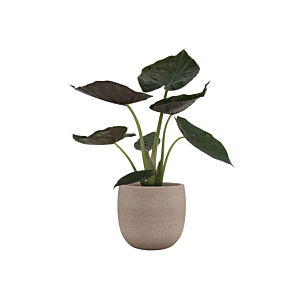 Cache-Pot HEMERA 29 cm - Taupe