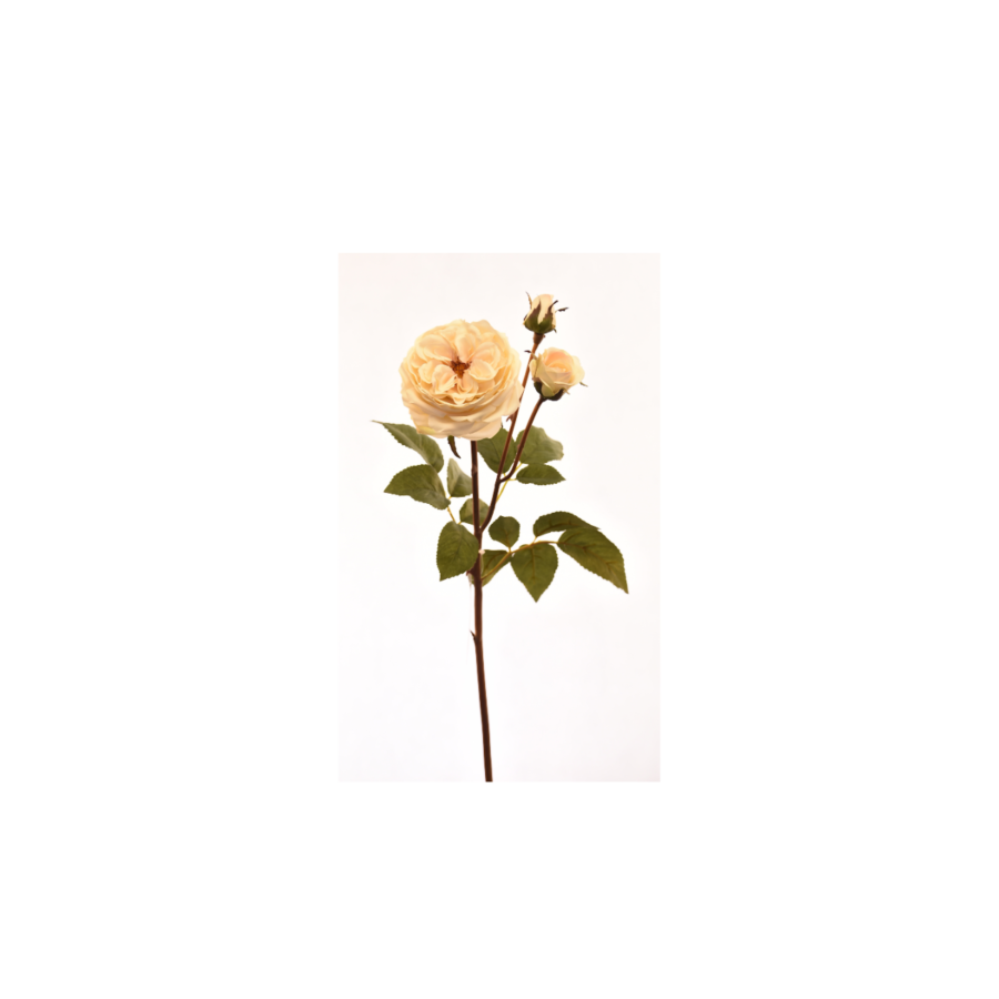 Rose 55cm - Blanc Cassé Plantes et fleurs artificielles