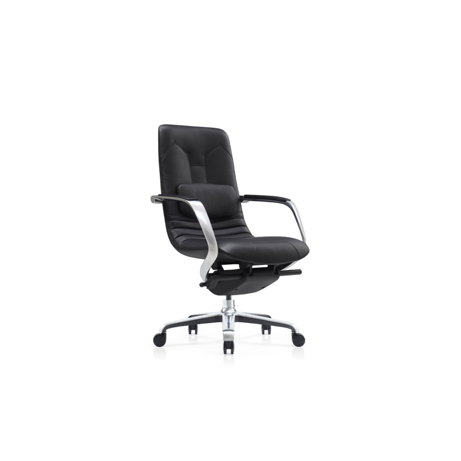 Fauteuil Sénateur DOLPHIN Chaises avec accoudoir