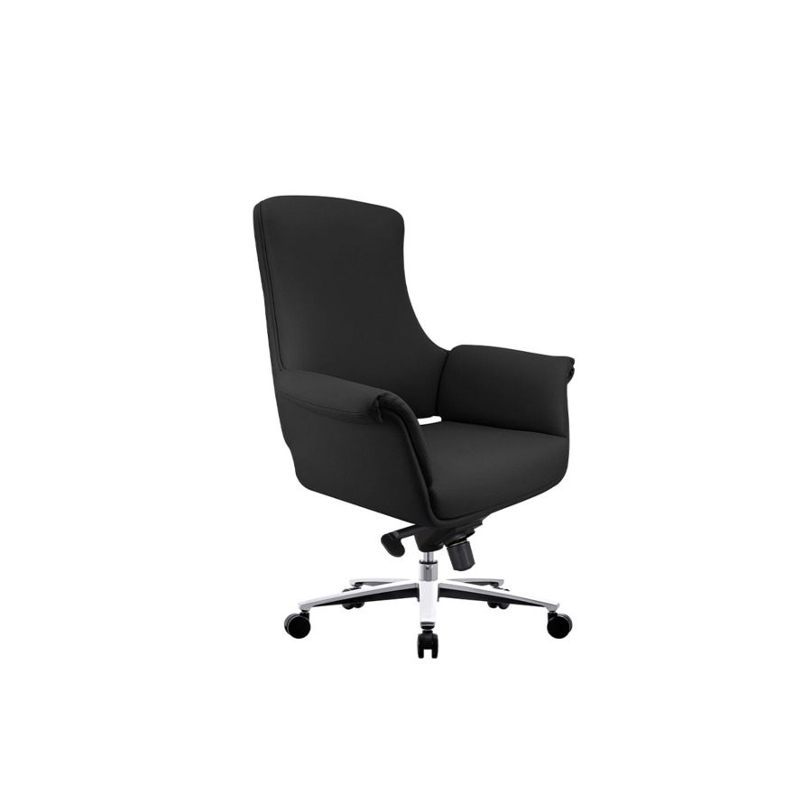 FAUTEUIL SENATEUR HUGE - Noir Chaises avec accoudoir