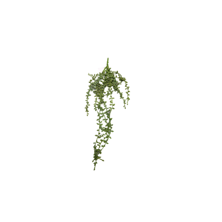 PLANTE SUSPENDUE DE SENECIO ROWLEYANUS ARTIFICIELLE - Blanc Soldes été vague 2