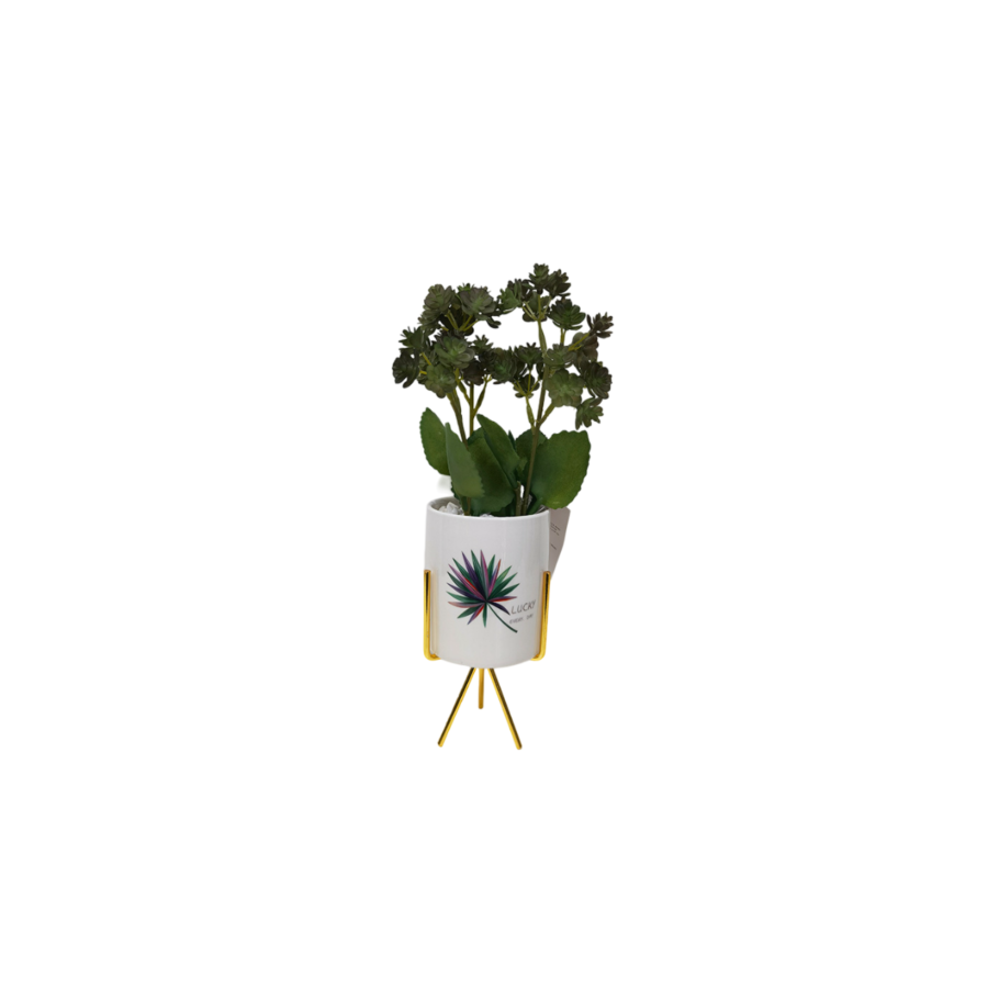 Plante ARTIFICIELLE AVEC POT EN CERAMIC 13x13x32cm - Blanc Soldes été vague 2