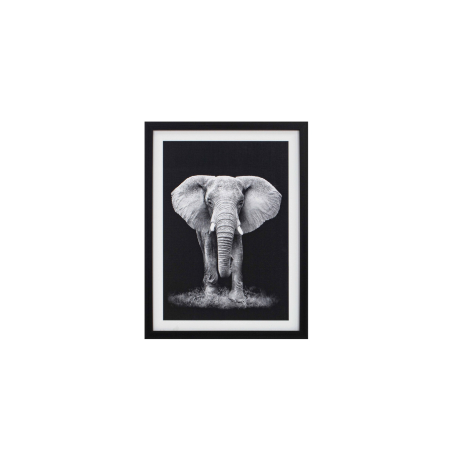 TABLEAU L'ELEPHANT AVEC CADRE - BLANC / NOIR Soldes été vague 2