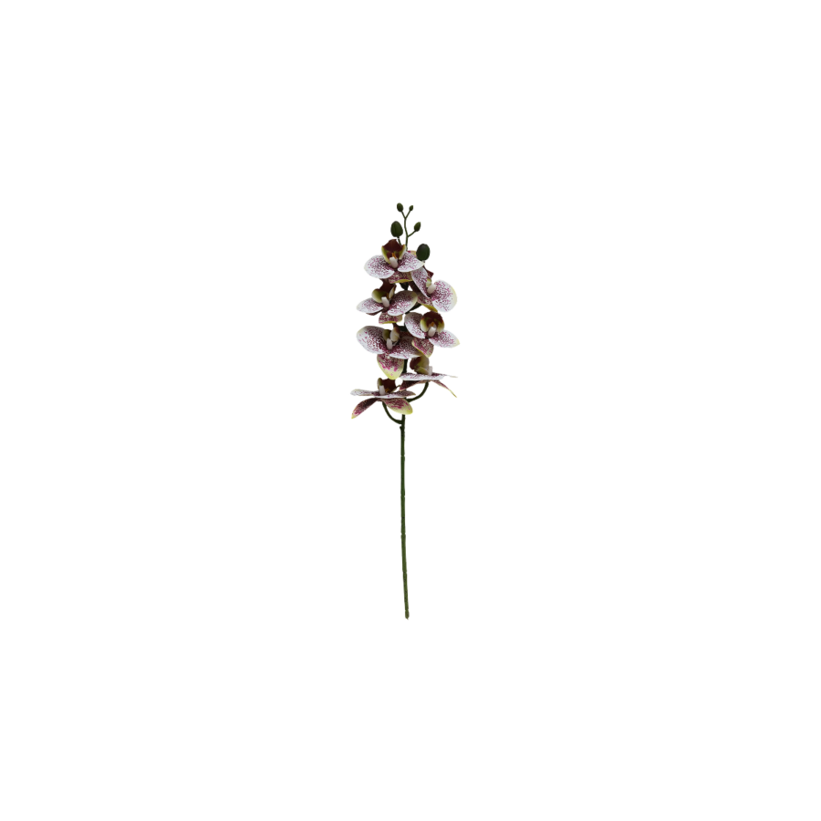 PLANTE ARTIFICIELLE ORCHIDÉE 68CM - MARRON Plantes et fleurs artificielles
