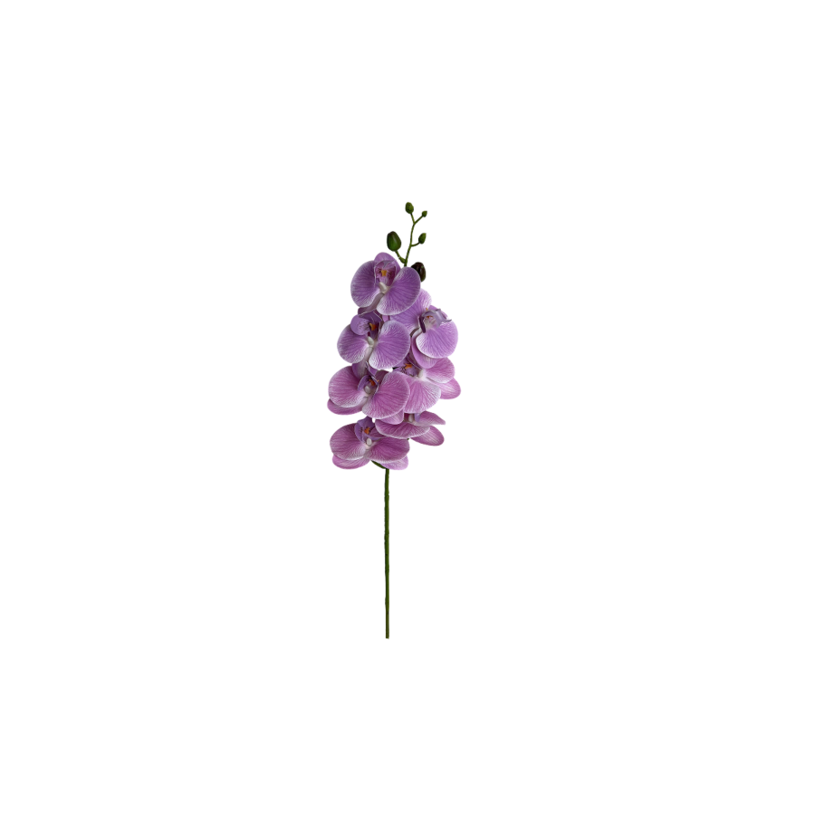 PLANTE ARTIFICIELLE ORCHIDÉE 68CM - VIOLET Plantes et fleurs artificielles