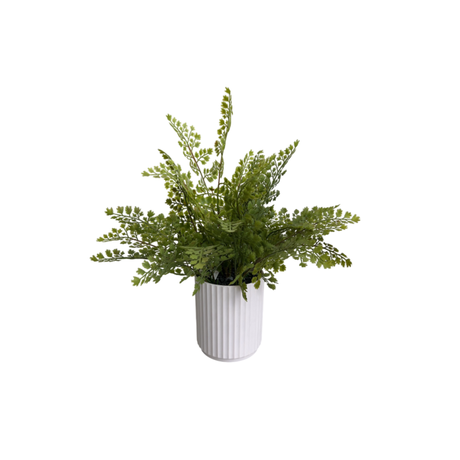PLANTE ARTIFICIELLE FOUGERE AVEC POT 30x30x42CM - VERT Plantes et fleurs artificielles