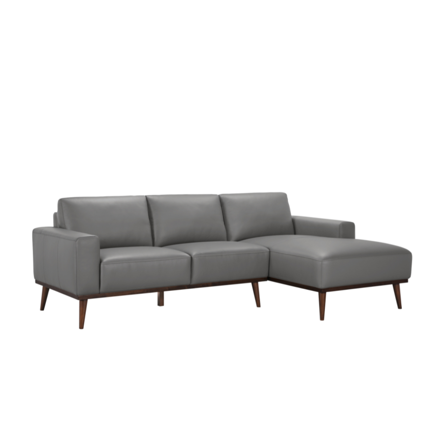 Canapé d'angle Carmin – Cuir – Gris Canapés