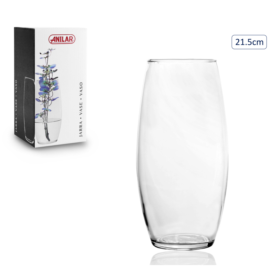 Vase en verre transparent - 21,5cm Vases décoratifs